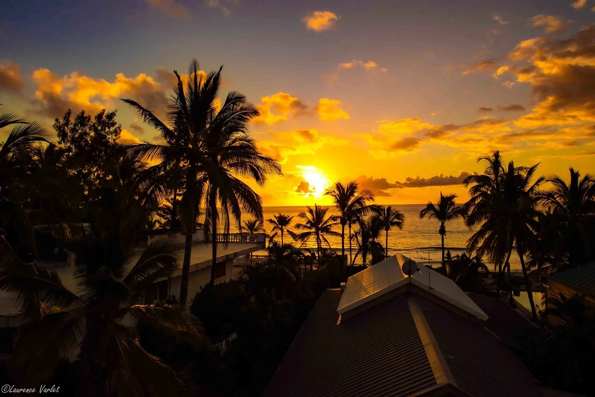Le coucher du soleil derrière les cocotiers, vu du rooftop