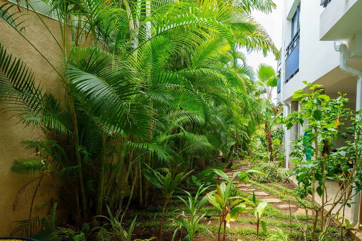 Le jardin tropical devant la Chambre Jardin